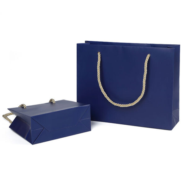 eco-friendly jewelry gift paper bag shopping luxury paper bag PP handle