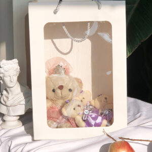 eco-friendly jewelry gift paper bag shopping luxury paper bag pvc window nylon rope